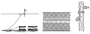 Trammel Nets